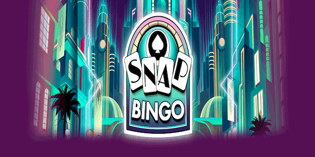 Play Snap Bingo