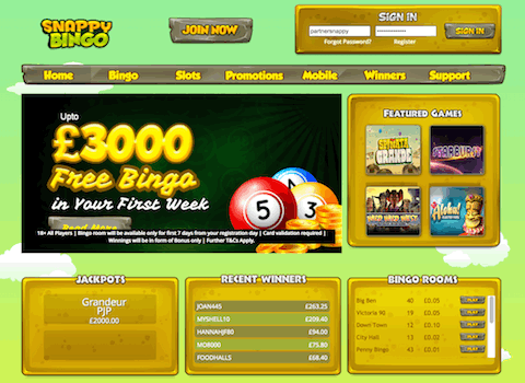 Daily Offers At Snappy Bingo