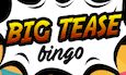 Big Tease Bingo