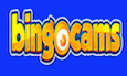 Bingocams