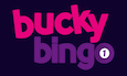 Go To Bucky Bingo