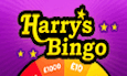 Go To Harrys Bingo