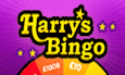 Harrys Bingo