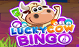 Lucky Cow Bingo