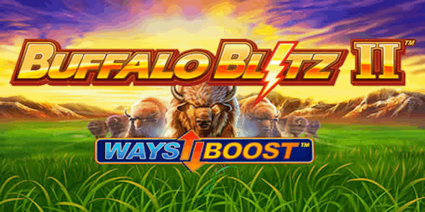 Buffalo Blitz II Review