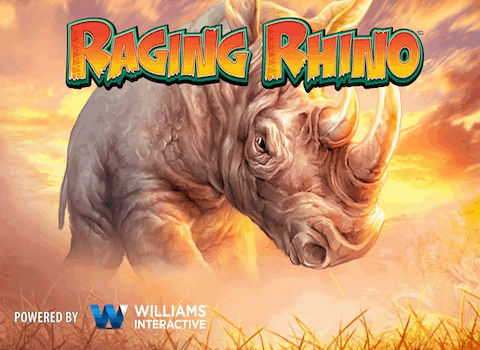 Raging Rhino Slots